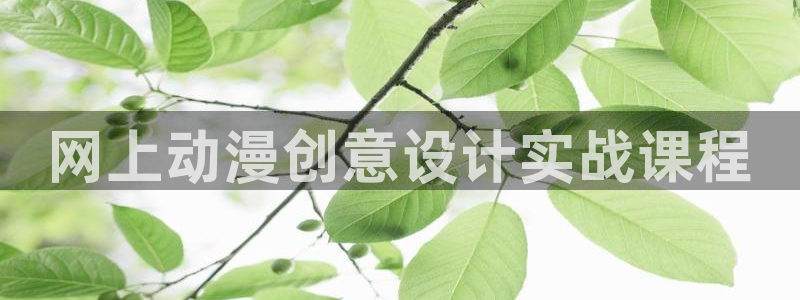 禁漫天堂免：网上动漫创意设计实战课程