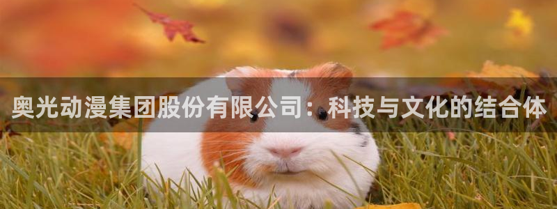 禁漫天堂v1.8.0：奥光动漫集团股份有限公司：科技与文化的结合体