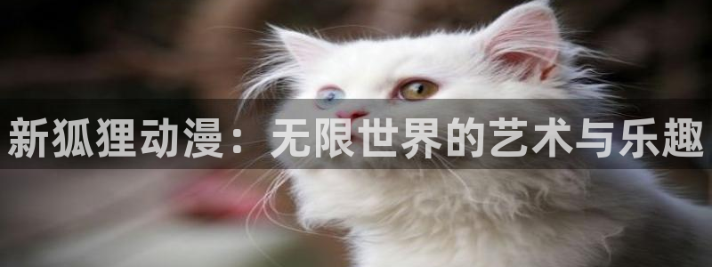 禁漫天堂网址：新狐狸动漫：无限世界的艺术与乐趣